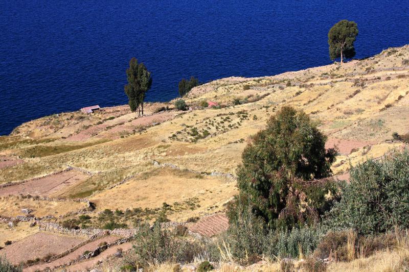 818-Lago Titicaca,isola di Taquile,13 luglio 2013.JPG